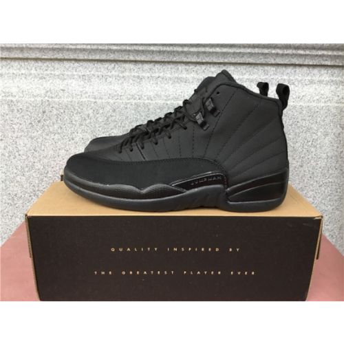 Air Jordan 12 black knight