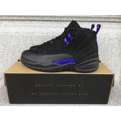 Air Jordan 12 Dark Concord