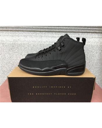 Air Jordan 12 black knight