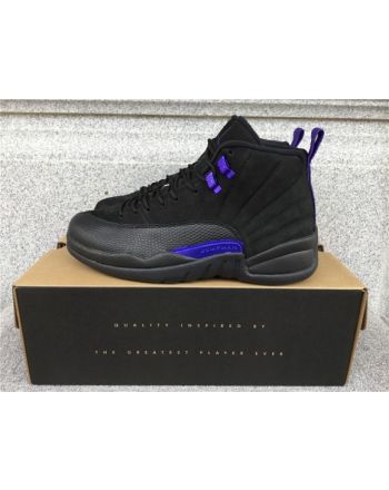 Air Jordan 12 Dark Concord